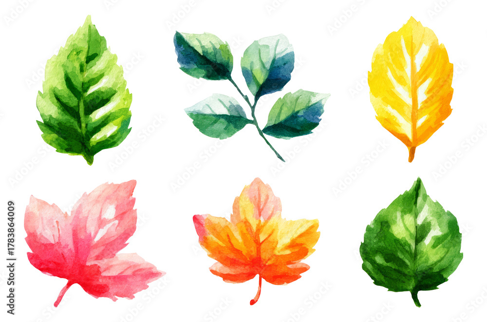 Obraz premium Colorful Hand-painted Watercolor Leaves on Transparent Background for Various Themes