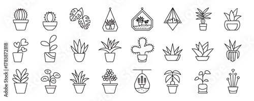 Delightful houseplant outline collection for modern interiors and minimalist decor projects offering a touch of nature and tranquility
