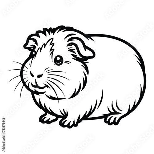 Cute guinea pig line art illustration pet rodent animal drawing