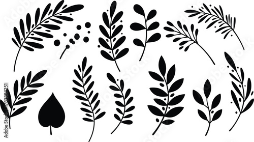 Botanical silhouette, black leaf design, nature branch vector, minimal foliage art, decorative plant clipart, elegant floral graphic, isolated elements