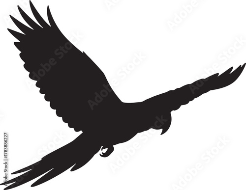 Dramatic silhouette of a majestic bird in flight against white backdrop