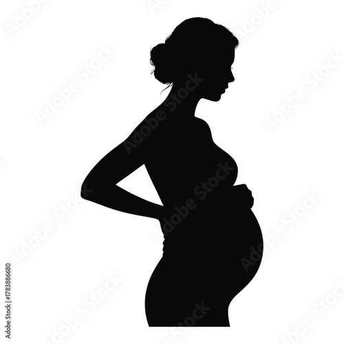 Silhouette of a pregnant woman embodying motherhood and anticipation of new life