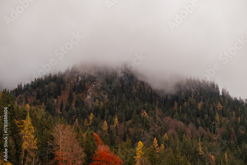 Autumn landscape near Berchtesgarden in Southern Germany with fog. Autumn forest with fog and the view of fail foliage