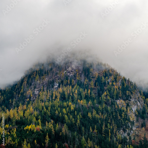 Autumn landscape near Berchtesgarden in Southern Germany with fog. Autumn forest with fog and the view of fail foliage