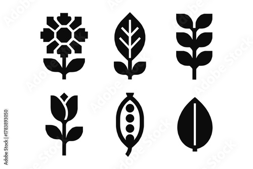 Minimalist nature icons: black and white floral and leaf silhouettes