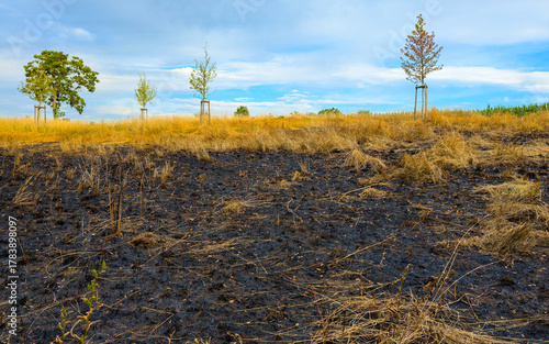 Burnt dry grass on the slope, blue sky clouds in background
