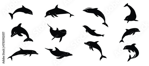 dolphin silhouettes. Collection of dynamic dolphin silhouette.