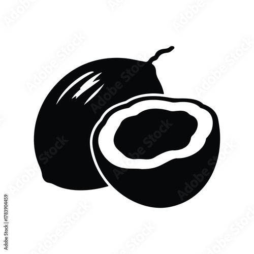 Coconut Silhouette Isolated on White Backdrop Delicious Refreshing Tropical Fruit Ingredient Vegan Vegetarian Source Vitamins Minerals Vector