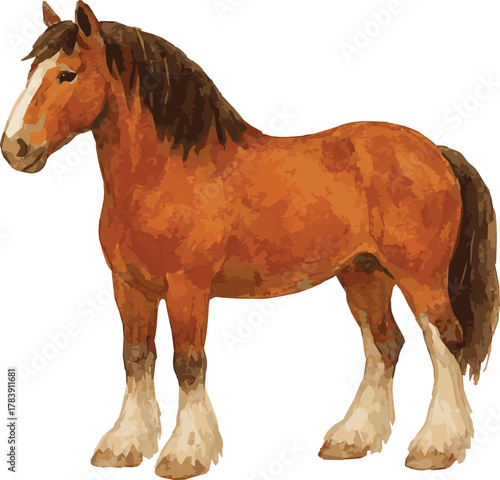 Vector adorable realistic watercolor illustration of a Clydesdale horse
