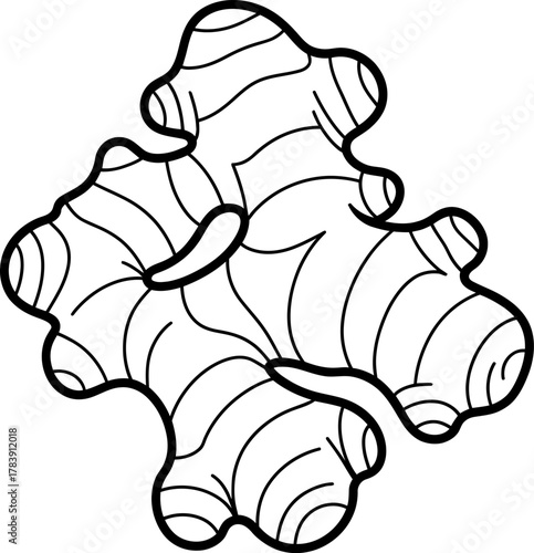 Ginger Root Coloring Page