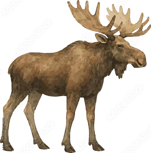 Vector watercolor illustration of a statue of moose