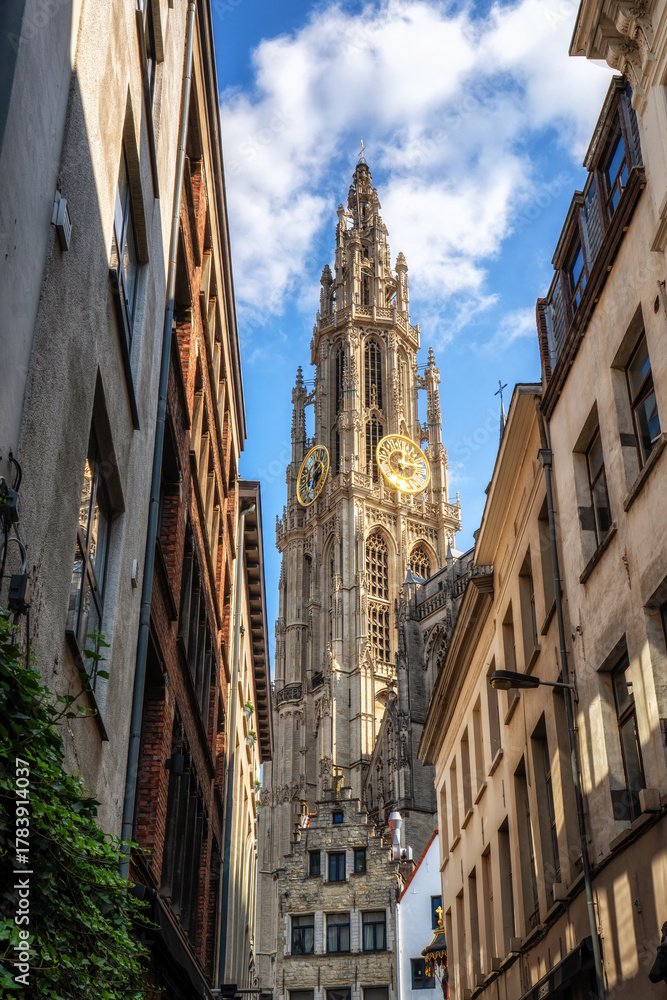 Fototapeta premium Cathedral of Our Lady in Antwerp. Belgium