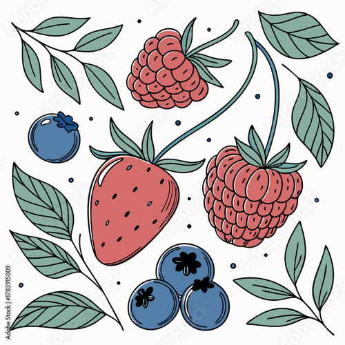 Detailed Vector Set of Berries