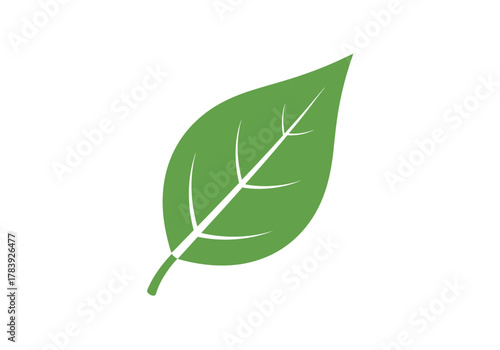 Cloud formation types illustration vector graphic