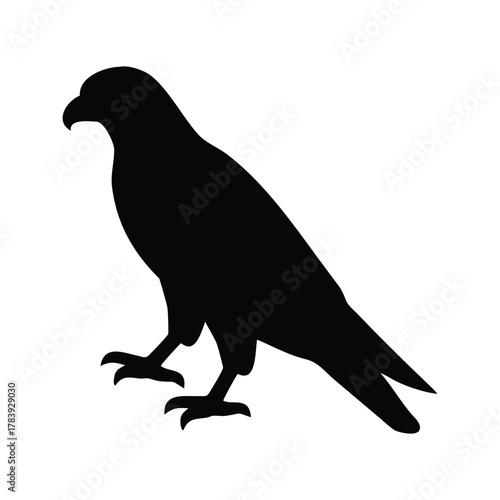 Black bird silhouette isolated on a white background