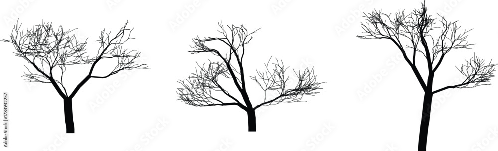 Obraz premium Tree vector art illustration