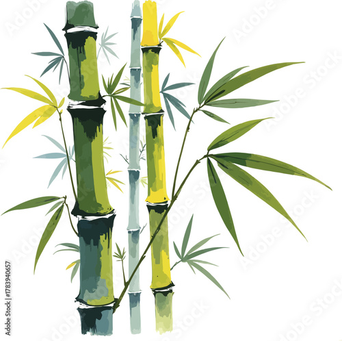 Watercolor bamboo stems with green leaves on a white background illustration