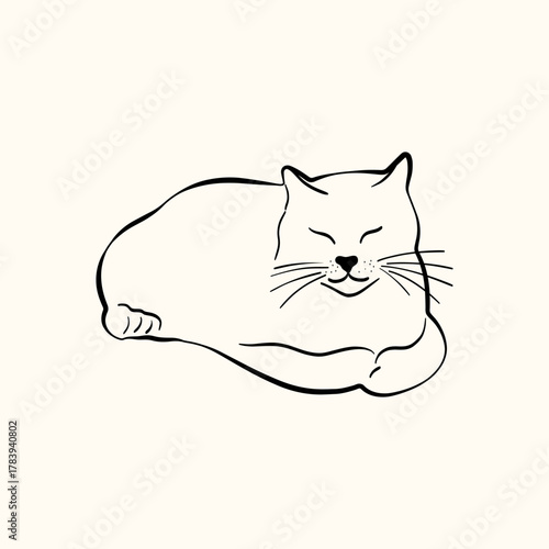Whimsical doodle cat pose vector illustration. Cute kitten, hand drawn linear cat in different poses sitting, lying down, sleeping