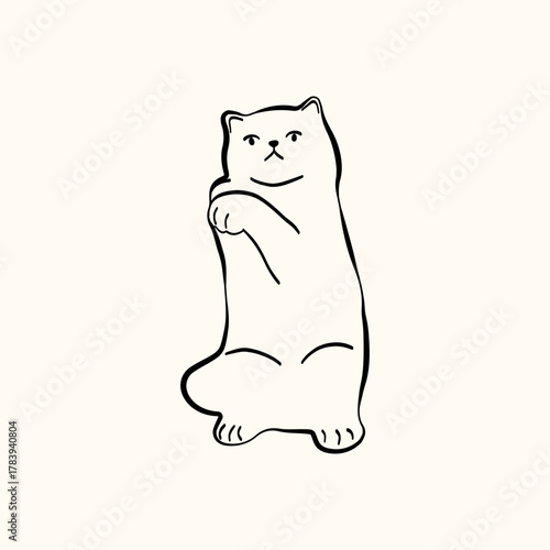 Whimsical doodle cat pose vector illustration. Cute kitten, hand drawn linear cat in different poses sitting, lying down, sleeping