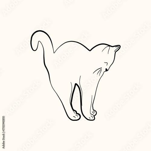 Whimsical doodle cat pose vector illustration. Cute kitten, hand drawn linear cat in different poses sitting, sleeping, playing and jumping