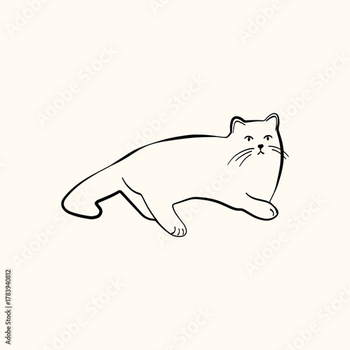 Whimsical doodle cat pose vector illustration. Cute kitten, hand drawn linear cat in different poses sitting, lying down, sleeping