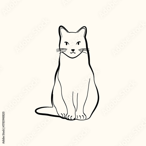 Whimsical doodle cat pose vector illustration. Cute kitten, hand drawn linear cat in different poses sitting, lying down, sleeping
