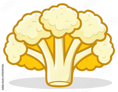 Cartoon Cauliflower Head Fresh Vegetable Isolated Illustration