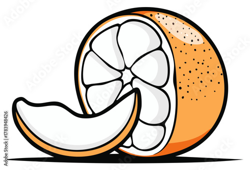 Vibrant orange fruit illustration with a slice peeking out and textured peel