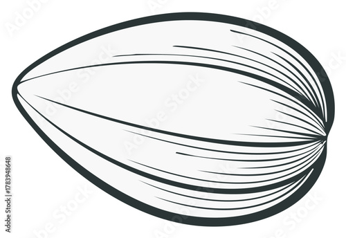 Abstract illustration of an oval shape with lined details and sharp edges