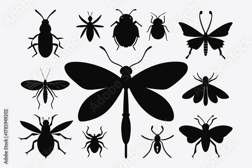 Collection of various insect black silhouettes like beetles, dragonfly and butterfly on a white background