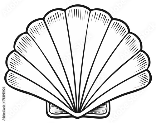 Stylized Sea Shell Outline Graphic for Nautical Designs and Beach Themes