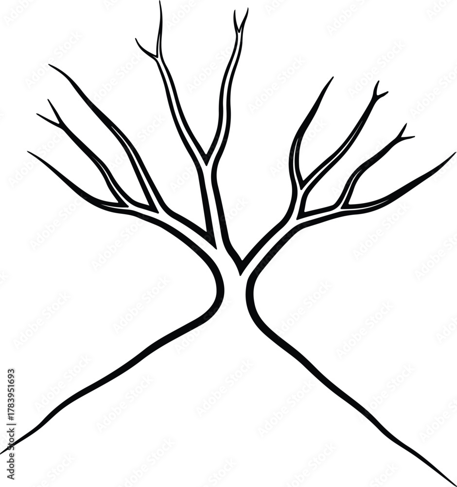 Fototapeta premium Illustrator Bare winter tree branches simple black line Silhouette vector