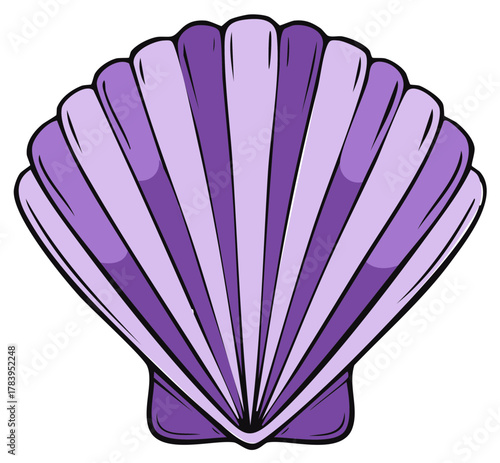 Purple striped scallop seashell illustration