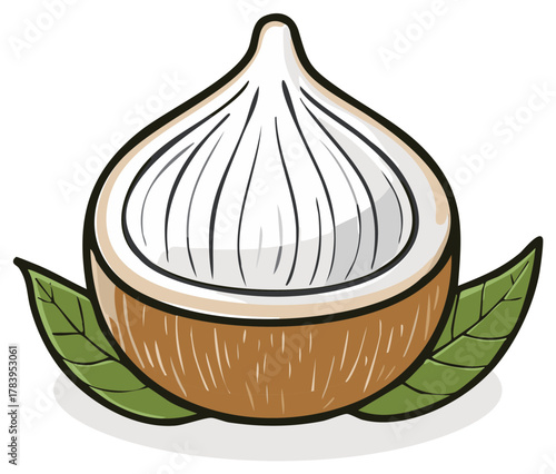 Stylized tropical coconut fruit cut in half with white flesh and green leaves