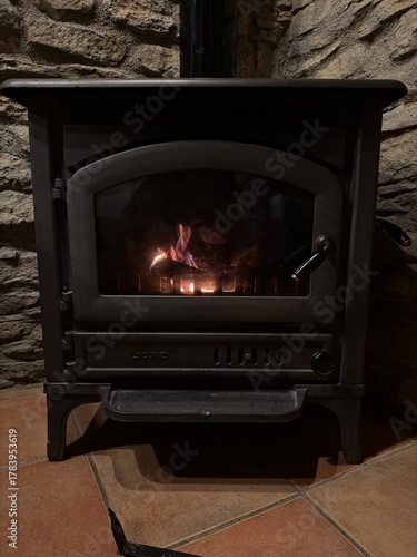 wood burning stove