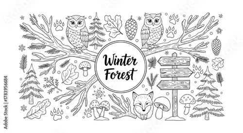 Winter forest scene with owls, fox, and nature elements in linear style