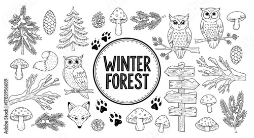 Winter forest wildlife and nature elements in black and white line art