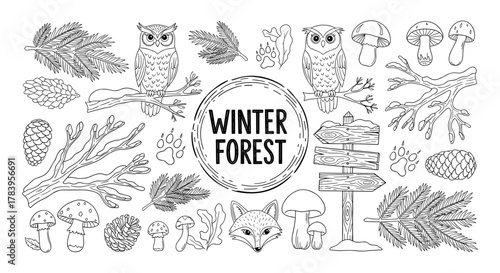 Hand drawn woodland elements with owls and winter forest theme