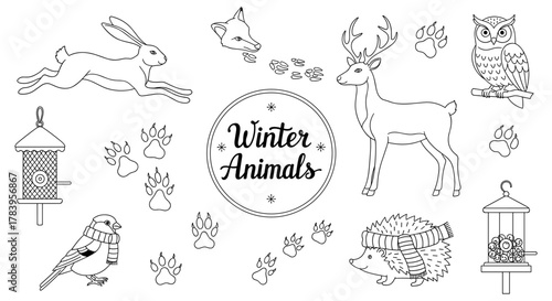 Elegant winter animal outline set with forest creatures and paw prints