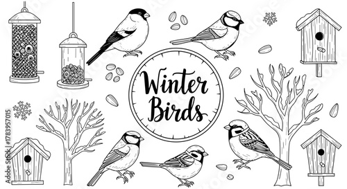 Charming winter birds in black and white nature scene with birdhouses and trees