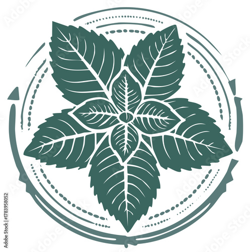 Stylized mint leaves illustration within a decorative circular frame, perfect for herbal or natural themes.