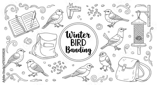 Winter bird banding in black and white with outline style featuring birds and equipment