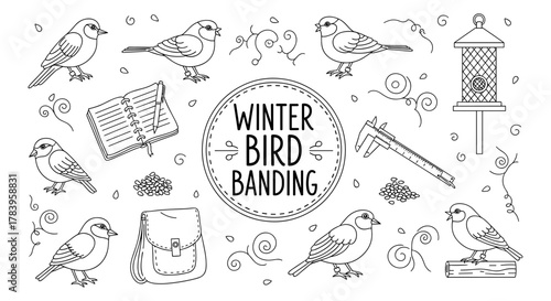 Winter bird banding: outline design with birds, tools, and feeder