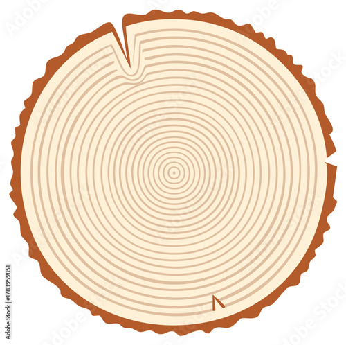 Vector illustration of a tree trunk cross section showing annual growth rings and rough bark