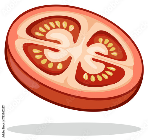 Illustration of a Fresh Tomato Slice With Visible Seeds and Pulp