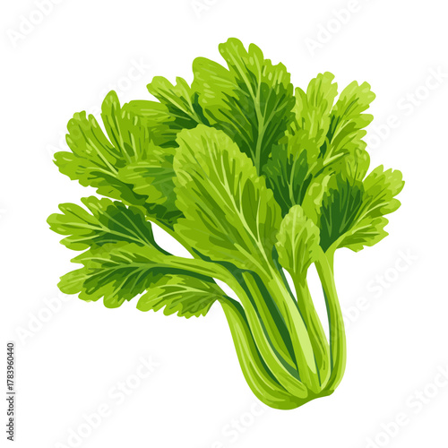 Minimal 2D flat vector of a Celery, icon-style illustration on a white background