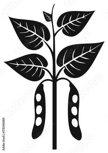 Simple graphic illustration of a plant with seed pods and broad leaves agriculture and nature concept