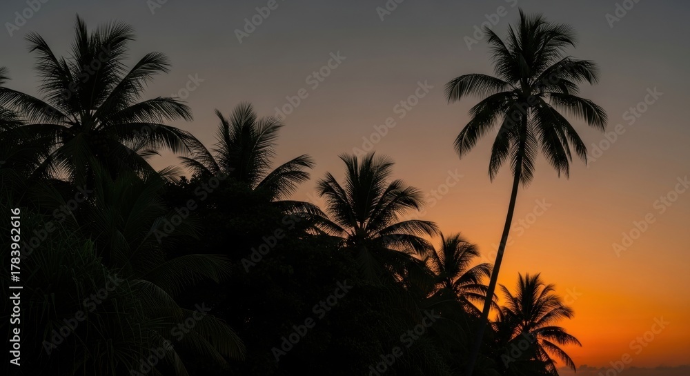 Fototapeta premium Tropical palm tree silhouettes against a sunset sky. Warm orange glow of the golden hour. Serene travel destination for summer vacation. Natural minimalist scenery with copy space