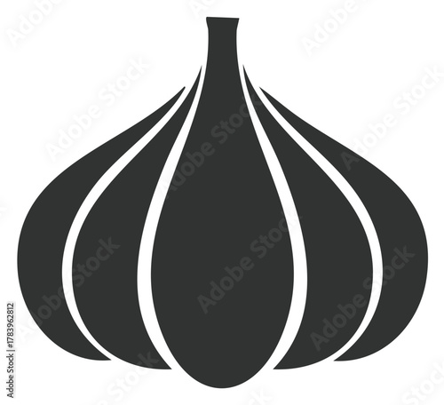 Simple Graphic Representation of Garlic Bulb, Single Vegetable, Isolated