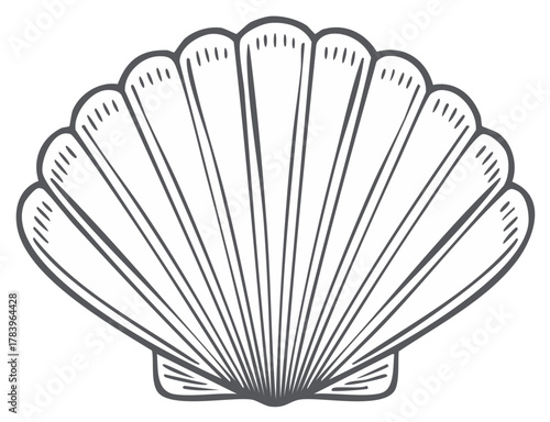 Elegant hand-drawn outline of a scallop seashell for ocean, beach, and marine design